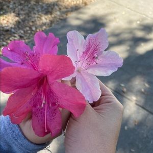 Meet your Posher, Katelyn